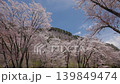Cherry blossoms at Byobu-iwa Park in Soni Village, Nara Prefecture (1) 139849474
