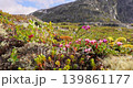 Arctic Tundra. Beautiful Nature Norway natural landscape. 139861177