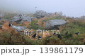 Atlantic puffin (Fratercula arctica), on the rock on the island of Runde (Norway). 139861179