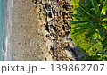 Thailand, Phuket, the edge of sea with rocky coast, with a coconut palm and the sea in the background on a sunny day 139862707
