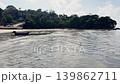 A flock of storks hunts in shallow water near the shore of Thailand - Phuket on a sunny day, an island in the background, fishing boats, small waves 139862711