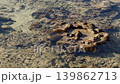 underwater life at low tide, various corals, crabs on rocks and underwater, fish and other marine life, sea cucumber, sea tentacles 139862713