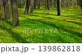 the summer garden on a sunny May morning, alleys of trees and statues, green lawns with flowers, no people 139862818