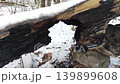 Walking through the hole in the winter forest, 4k video footage background 139899608