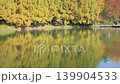 秋天的樹木和池塘，樹葉正在變色。 139904533