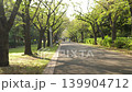 Tokyo.Japan-October 23.2019: Walking through the pathway in the middle of the park in Tokyo Japan 139904712