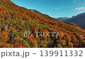 Aerial view of vibrant autumn forest on sloping mountain 139911332