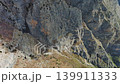 Aerial view of rocky mountain peak and green valley 139911333