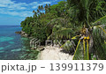 Tropical beach with turquoise sea water and lush green palm trees 139911379