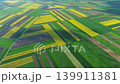 Aerial view of yellow and green agricultural fields 139911381