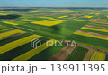 Aerial view of yellow and green agricultural fields 139911395