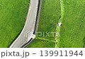 稻田 139911944
