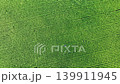 稻田 139911945