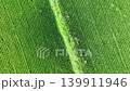 綠茵 139911946