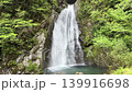 岐阜縣高山市的銚子瀑布，掩映在蔥鬱的綠蔭之中。 139916698