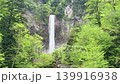 岐阜縣高山市綠樹成蔭的平湯大瀑布 139916938