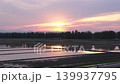 黃昏時分，夕陽倒映在稻田上，構成了一幅美麗的鄉村景色。 139937795