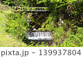 山梨縣的鼓川蜿蜒流淌在綠意盎然的草地上。 139937804
