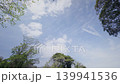 一棵黑松環繞著廣闊的天空，鳥兒飛向遠方。 139941536
