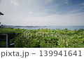 從島上可以眺望東京灣和遠處的城市景觀。 139941641