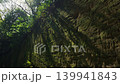陽光傾瀉而入，照耀著長滿青苔的牆壁。 139941843