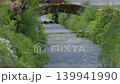 雨後運河裡的水 139941990
