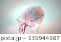 Brain with bright, Pastel sweet colors. structure of the head is forming to enclose the brain. Can be used in medical elements or science, 3D Render. 139944987