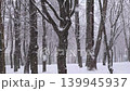 heavy snowfall in park 139945937