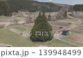 Aerial footage of a giant tree (Totoro's tree) towering over a rural countryside. 139948499