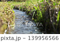 Spring stream and babbling brook 139956566