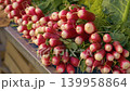 Red and white radishes for sale 139958864