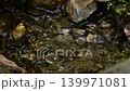 泉水 泉水 139971081