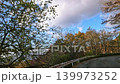 紅葉の季節のドライブショット 秋の八ヶ岳高原ライン 139973252