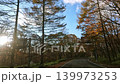 紅葉の季節のドライブショット 秋の八ヶ岳高原ライン 139973253
