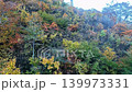紅葉に包まれるゴンドラと青空のコントラスト 紅葉の山岳ロープウェイ ケーブルカーの車窓イメージ 139973331