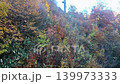 紅葉に包まれるゴンドラと青空のコントラスト 紅葉の山岳ロープウェイ ケーブルカーの車窓イメージ 139973333