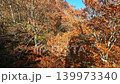山あいに広がる紅葉のダム湖と青空のパノラマ 紅葉の山岳ロープウェイ ケーブルカーの車窓イメージ 139973340