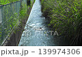 靜岡縣袋井市，清晨的陽光照耀下，稻田的灌溉渠道波光粼粼。 139974306