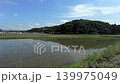 靜岡縣袋井市的清晨景色，插秧後，小山倒映在稻田中。 139975049