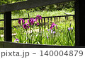 花菖蒲 花菖蒲 140004879