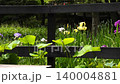 花菖蒲 花菖蒲 140004881