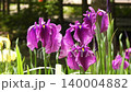 花菖蒲 花菖蒲 140004882