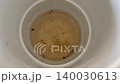 Close Up Shot Of Mosquito Larvae Moving In Dirty Stagnant Water 140030613