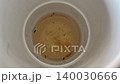 Top View Of Mosquito Larvae Floating In Dirty Stagnant Water 140030666