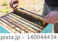 Beekeeper checks frame covered in bees while working at an apiary on warm summer day. 140044434