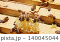 Bees are busy working on wooden frames inside beehive in garden. 140045044