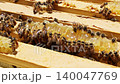 Bees work on honeycomb inside beehive under warm sunlight in early summer. 140047769