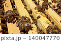 Bees are busy collecting nectar forming honeycombs inside hive in spring season. 140047770