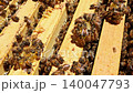 Bees gather nectar build honeycomb at beehive located in garden on warm day. 140047793