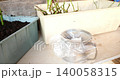 Careful propagation of rose plants by dipping prepared cuttings in rooting hormone powder and planting them in a container filled with nutrient-rich soil for successful new growth. 140058315